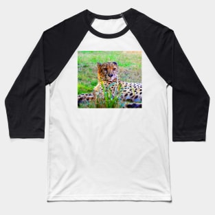 Cheetah looking Baseball T-Shirt